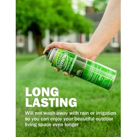 Seymour RENEW Grass and Shrub (Pristine). 1 - 17oz. Can.