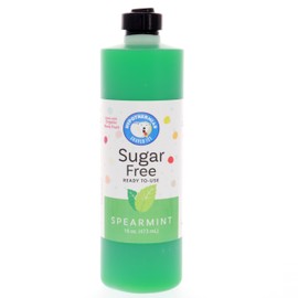 Hypothermias Sugar Free Syrup for Snow Cone, Shaved Ice, Drinks - Pint (16 fl oz) - Made with Organic Monk Fruit and Non-GMO Organic Erythritol - BPA-Free Plastic Bottle (Spearmint)
