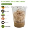 10 Pack 32 OZ Deli Cups with Fabric Vented Lids,