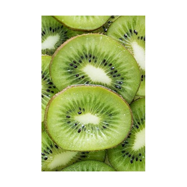 Kiwi Notebook: Perfect for Everybody, Drawing and Writing (110 Pages,