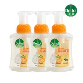 Dettol Antibacterial Foaming Hand Wash Orange Container 250ml x 3 / 데톨 항균 포밍 핸드워시 오렌지 용기 250ml x3개
