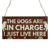 Second Ave Funny The Dogs Are in Charge Pet Lover