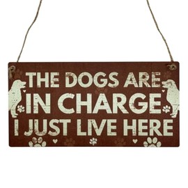 Second Ave Funny The Dogs Are in Charge Pet Lover Wooden Hanging Rectangle Home Gift Sign Plaque
