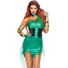 LEG AVENUE Women's 3 Piece Ivy Costume with Dress, Arm