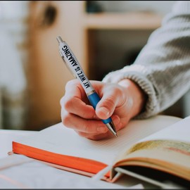 Templatables Fun & Rude Novelty Pens - Funny Gifts for Men, Women, Friends, Husbands, Wives and Family (My Wife Is Amazing, Blue)