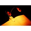 SomniLight Rechargeable Amber Book Light