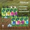 Follow Me Green Tea Shampoo 650ml (6-in-1)