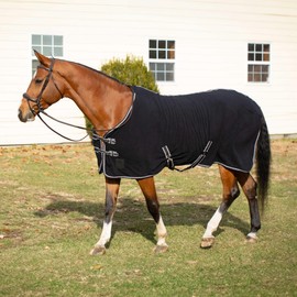 Equinavia Norse Anti-Pill Fleece Cooler | Blanket Liner for Horses - Black/Grape Purple - 80 in