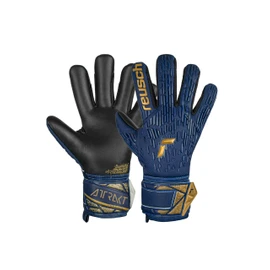 Reusch Attrakt Freegel Silver
