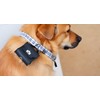Everything Chic Dog Poop Bag Holder for Leash Doggie Waste