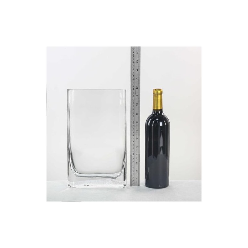 CYS Excel Jarrón de vidrio para libro (altura: 30 cm,