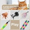 Qiruosing Cat Toys Interactive Cat Toy Wand ; A Retractable