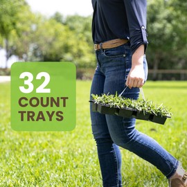 SodPods® St. Augustine CitraBlue Grass Plugs for Lawn Repair, 3" x 3" Each (32-Count) – Cannot Ship to California/Arizona