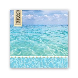 Michel Design Works Soft Triple-ply Paper Luncheon Napkins, Beach Themed, Perfect for Everday Use and Display, 20 Count