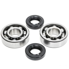 MaxLLTo Replacement 96387 003 1581 Crankshaft Bearing & Seal for Stihl KM90 KM100 KM130 HT100 HT101 FS60 FS61 FS72 FS74 FS75 FS76 FS80 FS81 FS86 FS88 FS90 FS96 FS120 FS240 FS300 FS350 FS360 FS400