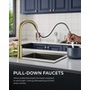 FORIOUS Gold Kitchen Faucet with Pull Down Sprayer, High Arc