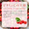 シードコムス アセロラ ビタミンC サプリメント (約12ヶ月分 360粒)