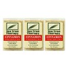 Tea Tree Therapy Toothpicks, Cinnamon, 100 Count (3-Pack)