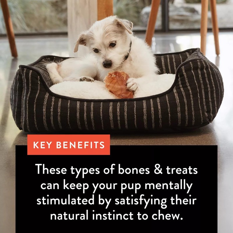 DENTLEY'S Nature's Chews Full Pig Ear Dog Chews