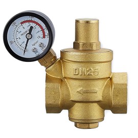 DN25 Water Pressure Regulator, Water Pressure Regulator with Gauge, Built-in Filter Brass Water Regulator for Pipeline Gas Industrial