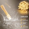 oopswow Warm White String Lights 33ft 100 LED with 8