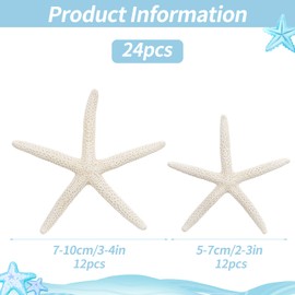 TaoQ C 24 PCS Starfish, Mixed Starfish 2" to 3" and 3" to 4" Natural Seashells Starfish White Starfish Ornaments Perfect for Wedding Beach Theme Party Home Decorations, DIY Crafts, Fish Tank