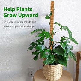 ALENEY Moss Pole, 8 Pack 17 inch Monstera Plant Support Stackable Moss Poles for Plants, Coir Totem Pole Tall Moss Pole for Climbing Plants, Sphagnum, Indoor Potted Plants