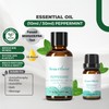 Sens éthéré 10ML & 30ML Peppermint Essential Oil Natural Plant