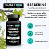 Nature Diet Nature Diet Berberine - 1000mg Berberine HCL per