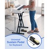 Universal Sustain Piano Foot Pedal for MIDI Keyboards, Digital Pianos,