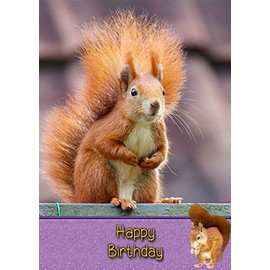 Squirrel Birthday Card