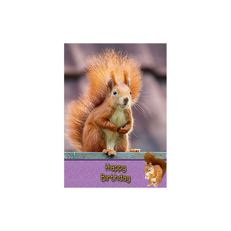 Squirrel Birthday Card