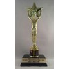 Large Starlet Recognition Victory Trophy Best Doctor