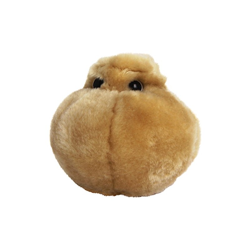 GIANT MICROBES Fat Cell (Adipocyte)