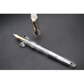 czxwyst 659 Double Nibs Fountain Pen (Transparent with Golden Clip)