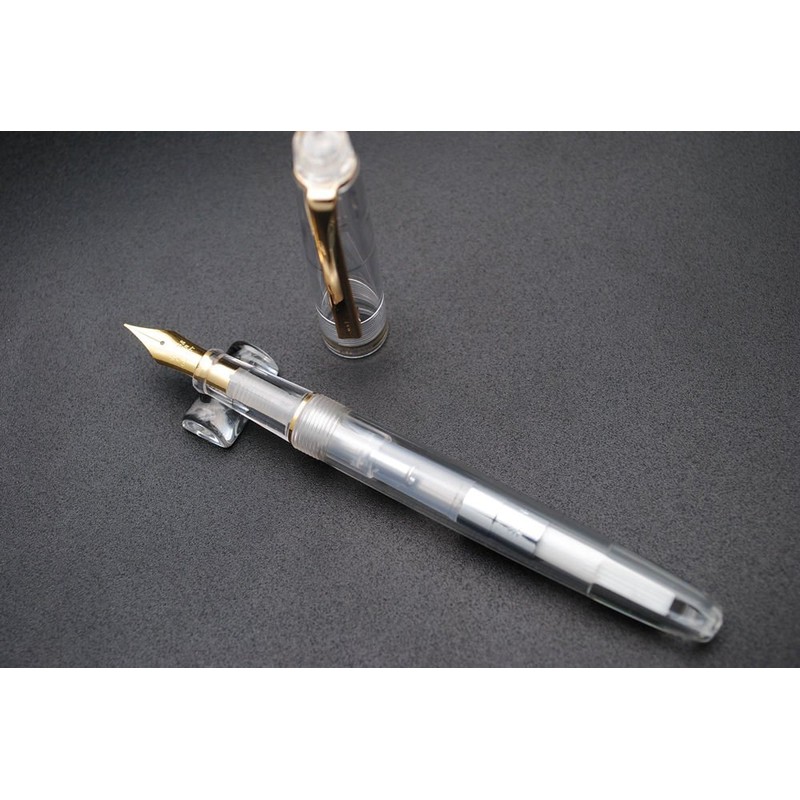 czxwyst 659 Double Nibs Fountain Pen (Transparent with Golden Clip)