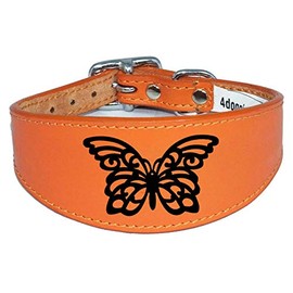 Dog Collar Leather Greyhound Collar Whippet Collar Padded Backing Laser Engraved D14 (10-12 inch (25cm-30cm), Orange)