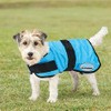 WeatherBeeta Therapy-Tec Cooling Dog Coat, Blue, 25cm