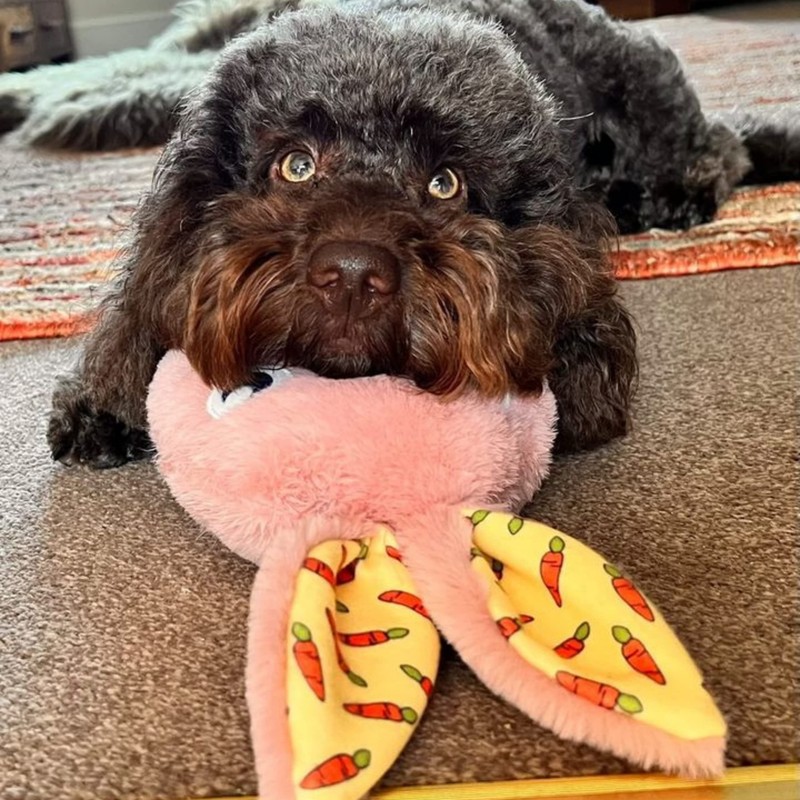 WufWuf Rabbit in the Egg Shell | Easter Themed Squeaky