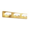 TimberAura Bathroom Vanity Light, 3-Light 24 Inch Brushed Gold 5CCT