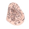 17cm Ear Point Probe 600pcs Auricular Patches Silicone Ear Model