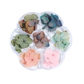 FRCOLOR 50pcs Dried Flower Nail Art Supplies Gradient Maple Leaf Nail Tips Stickers for Creative Manicure