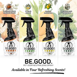 BE.GOOD. Pet Odor Eliminator for Strong Odor, 16oz Spray, Woodland Essence - Pet Odor Eliminator for Home - Dog Urine Odor Eliminator - Pet Odor Eliminator for Carpet, Pet Beds, Upholstery & More