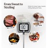 Digital Candy Thermometer with Pot Clip, 10" Long Stainless Steel