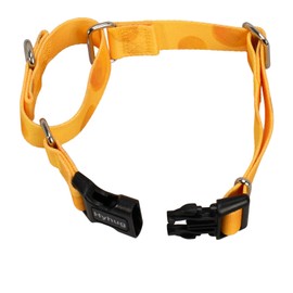 Hyhug Martingale Dog Collar With Buckle: Escape-Proof, No Slip Heavy Duty Nylon, Colorfast Adjustable Pet Supplies for Small Breeds(Cheese, Extra Small)