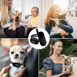 eXuby - Tiny Shock Collar for Small Dogs 5-15lbs - Smallest Collar on The Market - Sound, Vibration, & Shock - 9 Intensity Levels - Pocket-Size Remote - Long Battery Life - Water-Resistant - Black