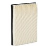 RIDEX 8A0022 Engine Air Filter, Air Filter Insert, Car Filter,