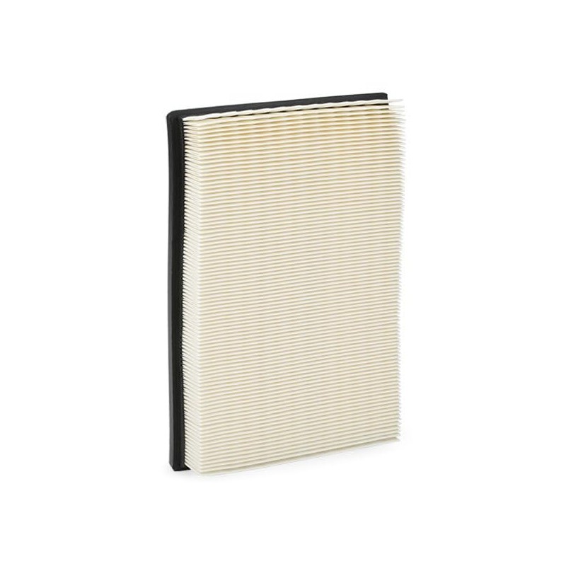 RIDEX 8A0022 Engine Air Filter, Air Filter Insert, Car Filter,