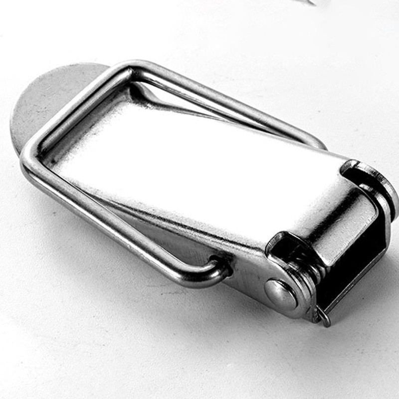 Pack of 2 Stainless Steel Toggle Latches with Screws, Box