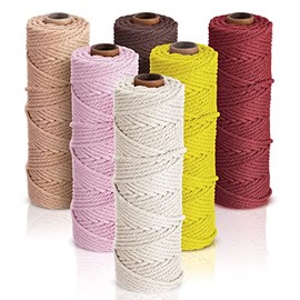 6 Rolls Macrame Cord Cotton Rope Yarn Twine Set for DIY Wall Plant Hanger Crafts Making Supplies, 6 Colors, 3 mm Thick, 328 Yards in Total Length (Assorted Colors)